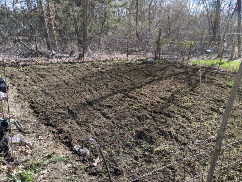 first tilling 2020