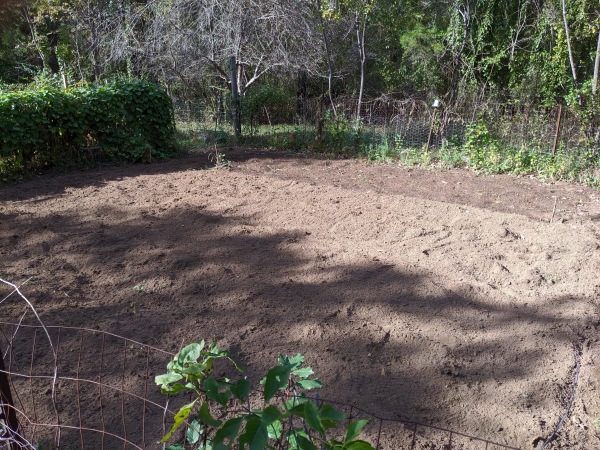 Garden done
